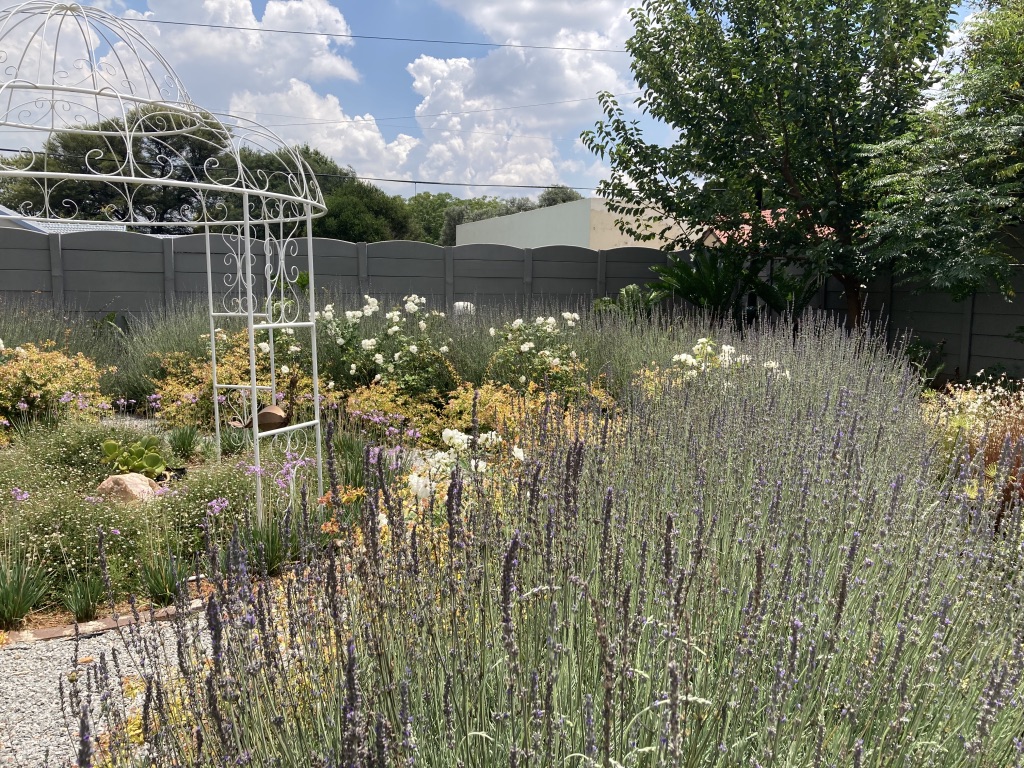 Gemstone Wellness gardens